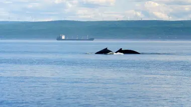 Les parcs nationaux canadiens Saguenay-Saint-Laurent