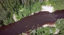 Les parcs nationaux des pays baltes