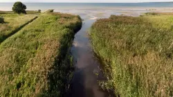 Visuel de Les parcs nationaux des pays baltes