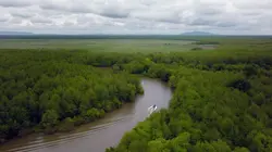 Visuel de Les parcs nationaux géorgiens