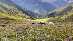 Visuel de Les parcs nationaux géorgiens