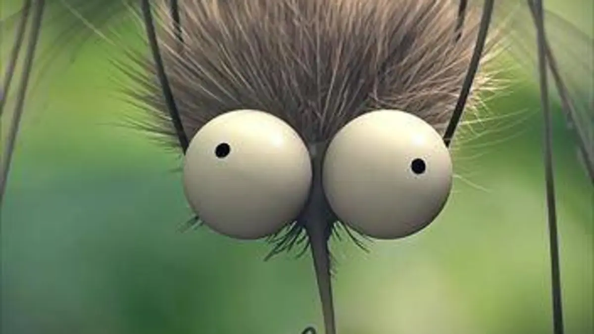 Les parcs naturels... en Minuscule