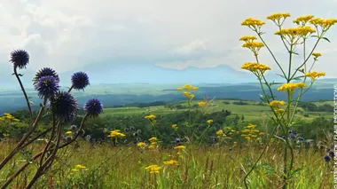 Japon, le parc Aso-Kuju