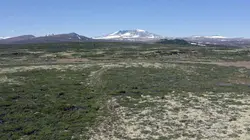 Les parcs naturels... en Minuscule  Norvège, Dovrefjell-Sunndalsfjella