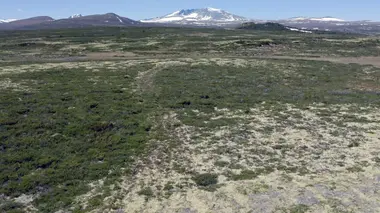 Norvège, Dovrefjell-Sunndalsfjella