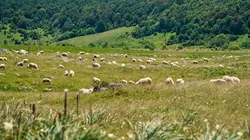 Visuel de Les parcs naturels... en Minuscule