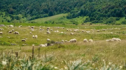 Les parcs naturels... en Minuscule Les lacs de Plitvice, Croatie