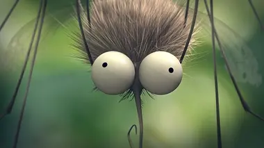 Les parcs naturels... En minuscule S01E02 Le Mercantour