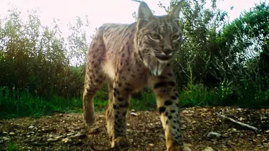 Le parc naturel de la vallée du Guadiana