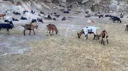 Les parcs naturels portugais Peneda-Gerês