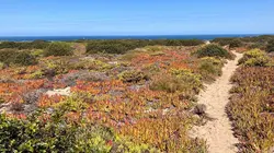 Les parcs naturels portugais