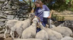 Les parcs naturels portugais La Serra da Estrela