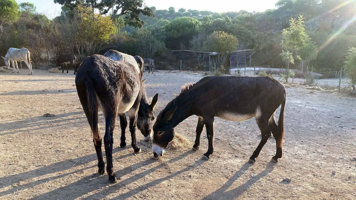 Les parcs naturels portugais
