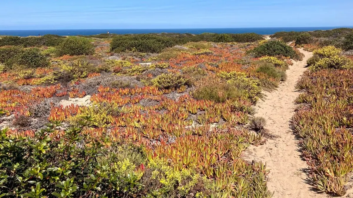 Les parcs naturels portugais Sud-Ouest Alentejano et Costa Vicentina