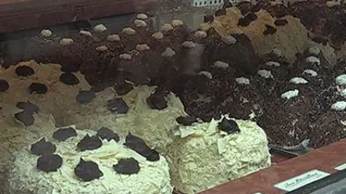 Les pâtisseries françaises à la conquête du monde
