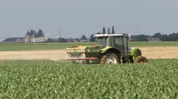 Visuel de Les paysans