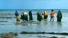 Les pêcheuses d'algues de Zanzibar