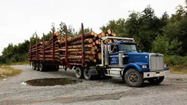 Manque d'expérience