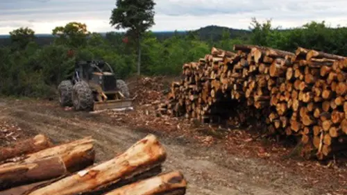 Les bûcherons de l'extrême S01E03 Tornade en approche