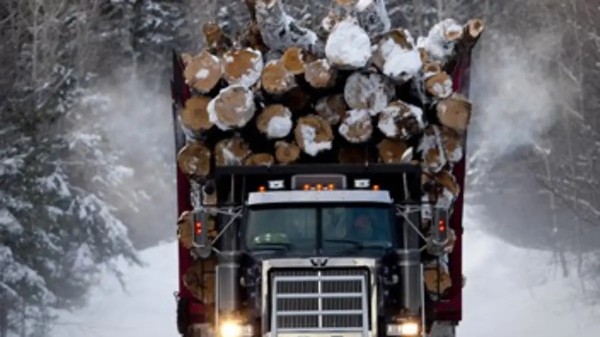 Les bûcherons de l'extrême S01E08 Pied au plancher !