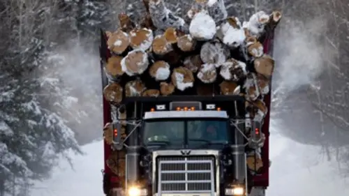 Les bûcherons de l'extrême S01E08 Pied au plancher !
