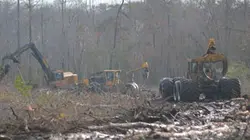 Visuel de Les Pelletier : profession bûcheron