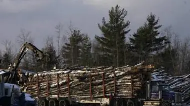 L'homme contre la boue
