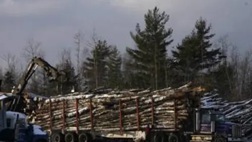Les bûcherons de l'extrême S02E08 L'homme contre la boue