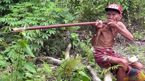 Les Penan, survivre à Bornéo