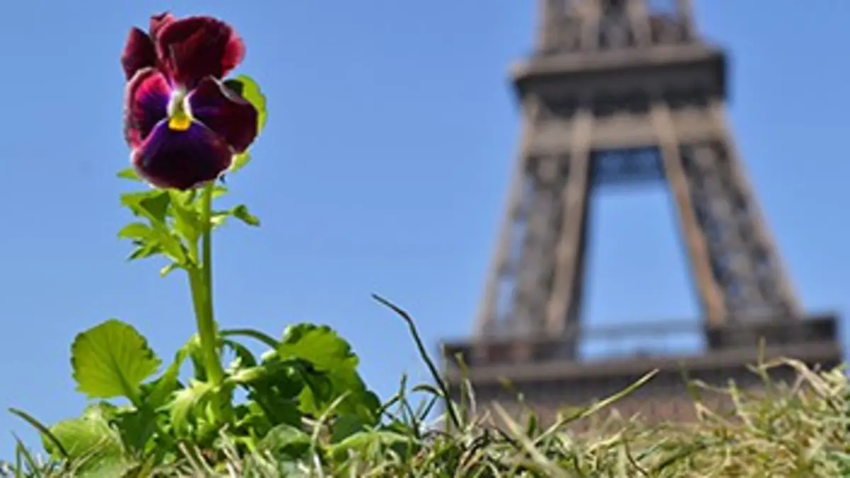 Les pensées de Paul