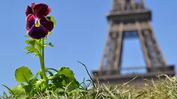 Visuel de Les pensées de Paul