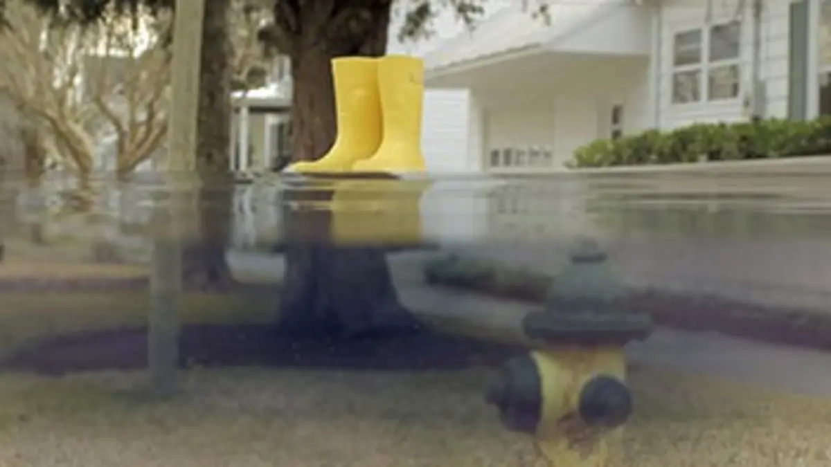 Les petites bottes jaunes