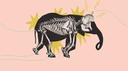 Les petites pépites de l'Histoire