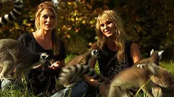 Visuel de Les petits animaux de la 8