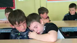 Les petits disciples de Platon