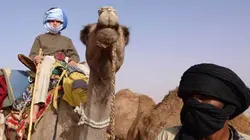 Visuel de Les petits explorateurs à travers l'Afrique