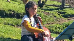 Les petits Papageno ou les violons de la réconciliation