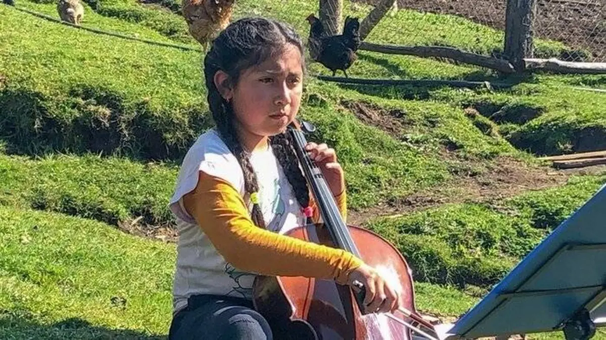 Les petits Papageno ou les violons de la réconciliation