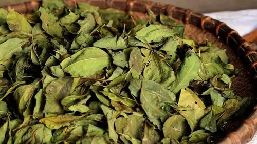 Les peuples du Nord Vietnam