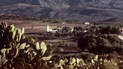 Les pieds-noirs d'Algérie : une histoire française