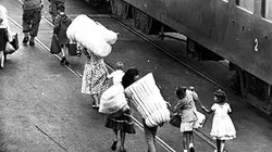 Visuel de Les pieds-noirs, histoires d'une blessure