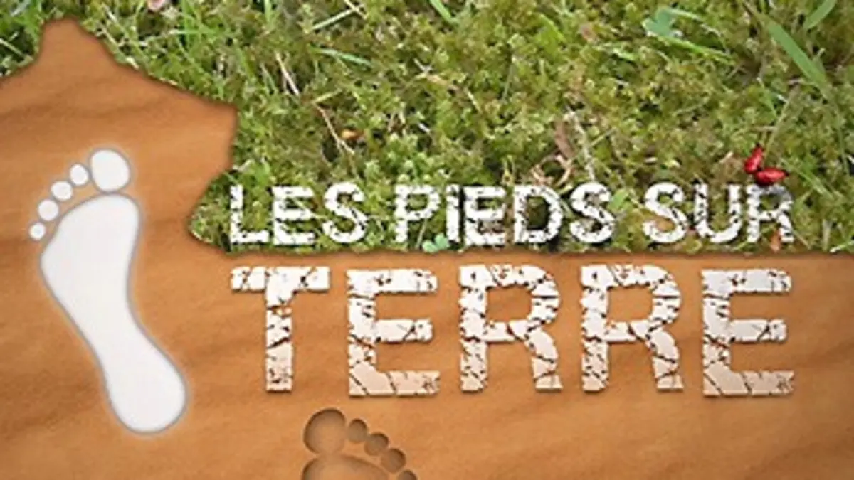 Les pieds sur terre COP21 et après ?