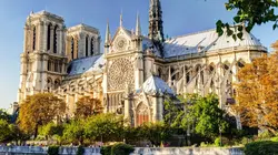Les piliers de Notre-Dame