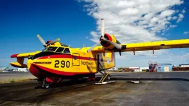 Dans la ligne de mire