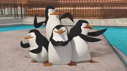Les Pingouins de Madagascar S02E07 Pas touche !