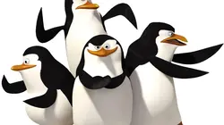 Les Pingouins de Madagascar S01E13 Chat errant