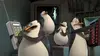 Moris dans Les Pingouins de Madagascar S01E04 Opération: sauvez Morty (2009)