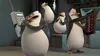 Kowalski dans Les Pingouins de Madagascar S02E50 Savio s'est échappé (2011)