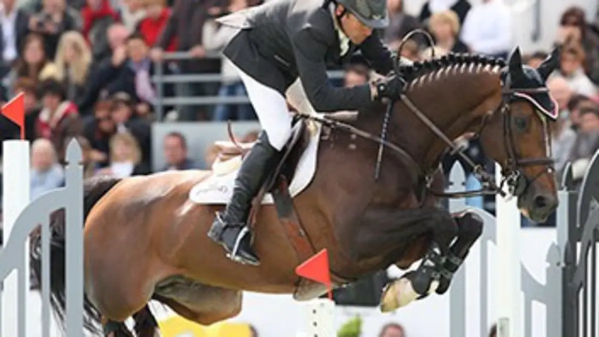 Les plus beaux couples