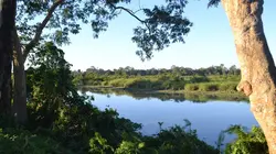 Les plus beaux parcs nationaux d'Asie Inde, l'arche des grands animaux